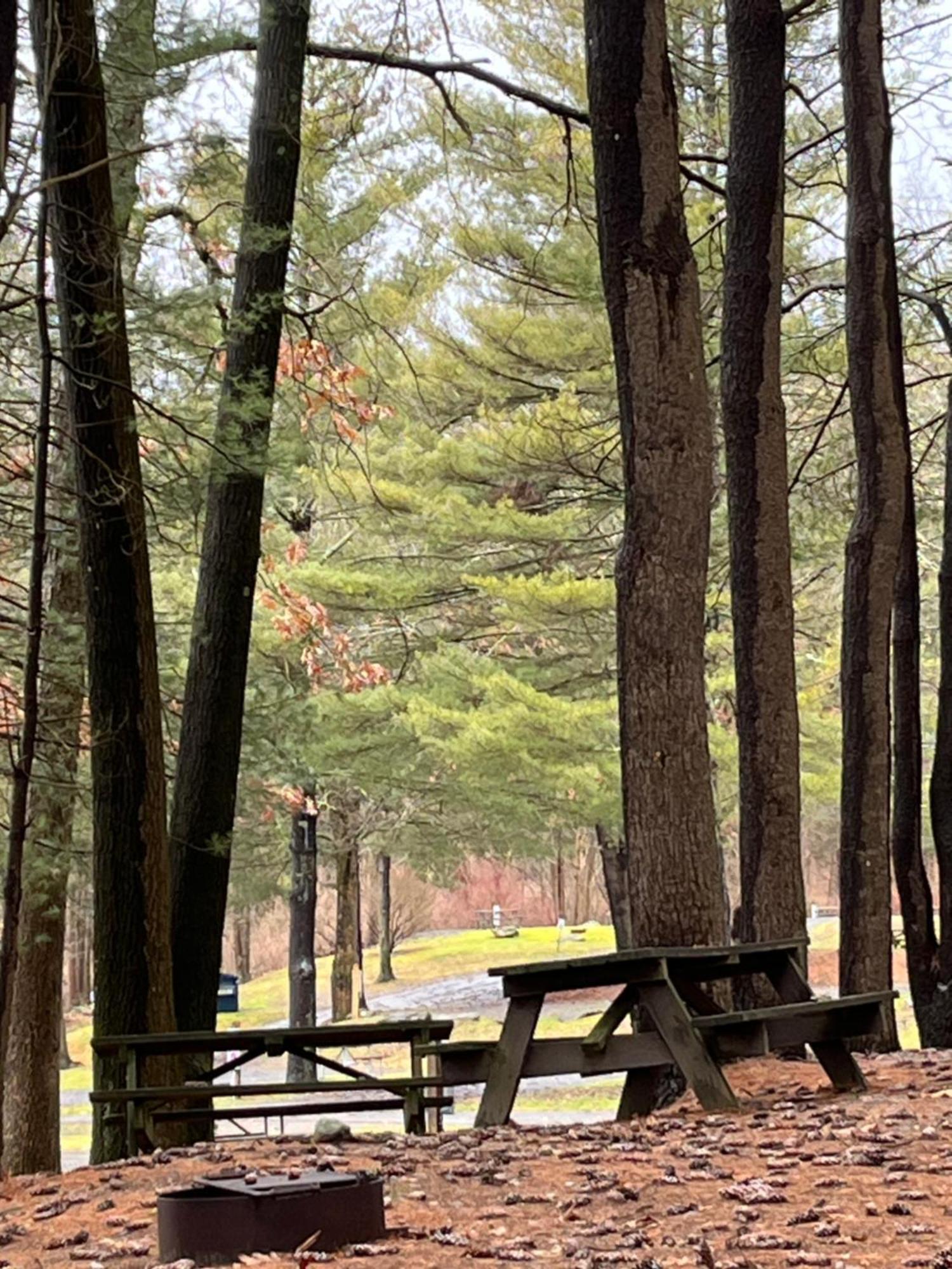 Interlake Rv Park & Campground Rhinebeck Esterno foto